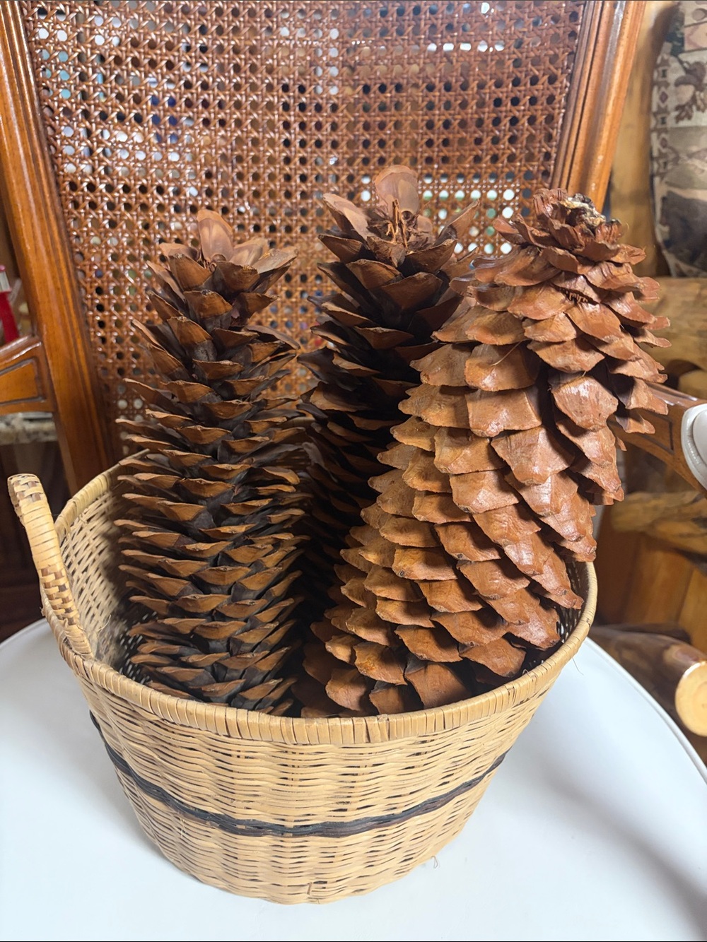 Fall Decor - Woven Basket of Natural Brown Pine Cones
